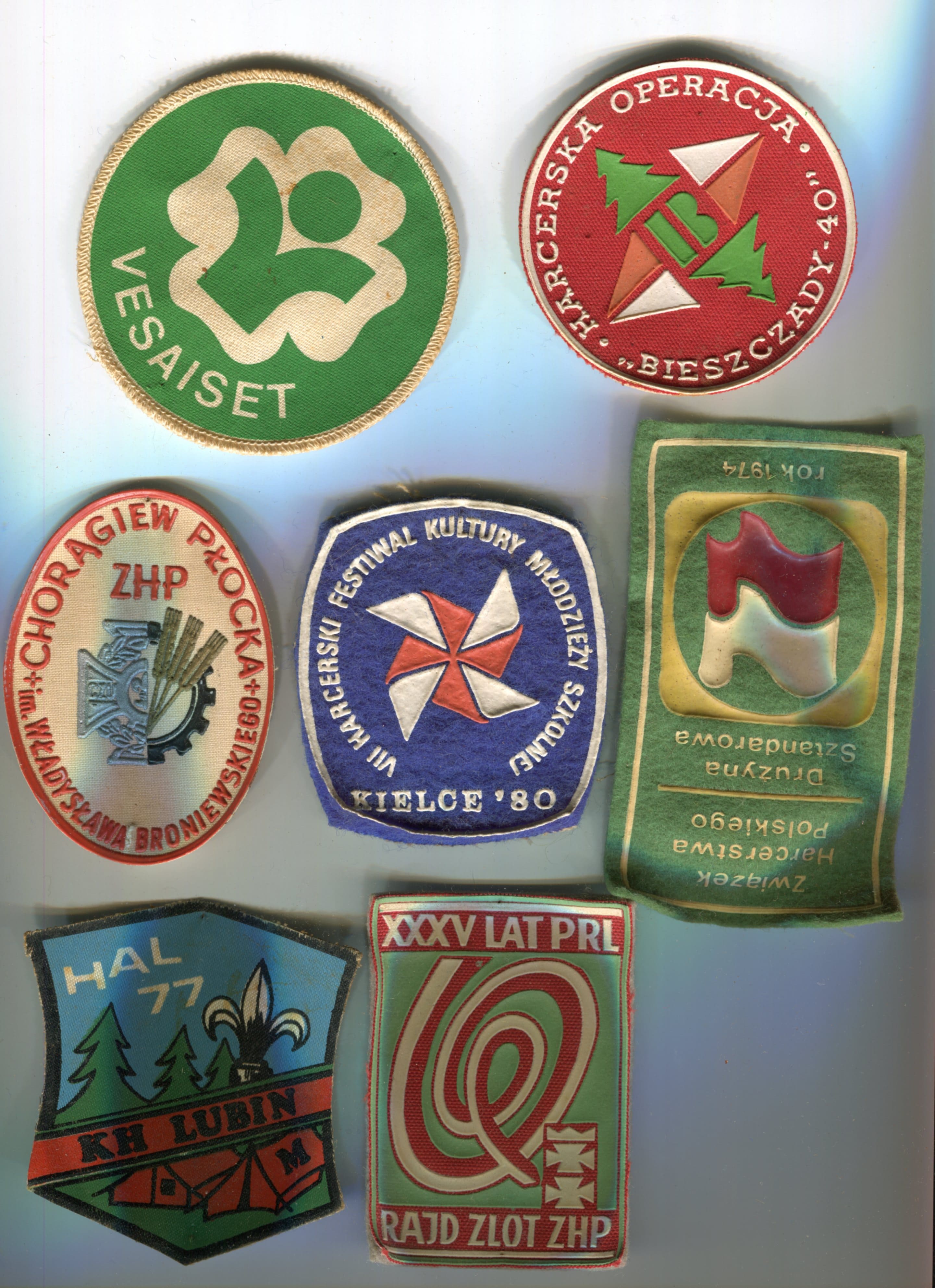 distintivi Pionieri Polacchi.1