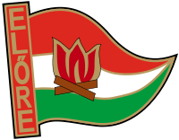 Logo pionieri Ungheria 2